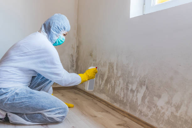 Mold Remediation specialist working in Orbisonia
